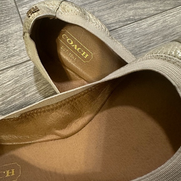 Coach Dalia Flat Shoes - Picture 3 of 10
